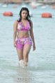 Payal Ghosh Hot Bikini Stills