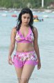 Payal Ghosh Hot Bikini Stills