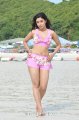 Payal Ghosh Hot Bikini Stills