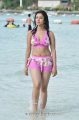 Payal Ghosh Hot Bikini Stills