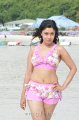 Payal Ghosh Hot Bikini Stills