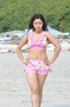 Payal Ghosh Hot Bikini Stills