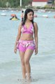 Payal Ghosh Hot Bikini Stills