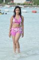 Payal Ghosh Hot Bikini Stills