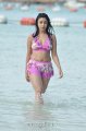 Payal Ghosh Hot Bikini Stills