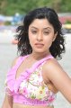 Payal Ghosh Hot Bikini Stills