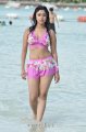 Payal Ghosh Hot Bikini Stills