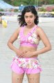 Payal Ghosh Hot Bikini Stills