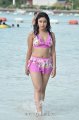 Payal Ghosh Hot Bikini Stills