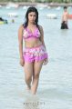 Payal Ghosh Hot Bikini Stills