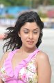 Payal Ghosh Hot Bikini Stills