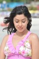 Payal Ghosh Hot Bikini Stills