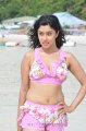 Payal Ghosh Hot Bikini Stills