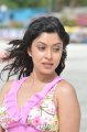 Payal Ghosh Hot Bikini Stills