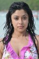 Payal Ghosh Hot Bikini Stills