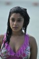 Payal Ghosh Hot Bikini Stills