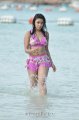 Payal Ghosh Hot Bikini Stills