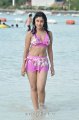 Payal Ghosh Hot Bikini Stills