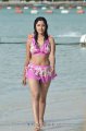 Payal Ghosh Hot Bikini Stills