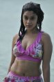 Payal Ghosh Hot Bikini Stills