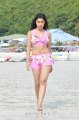 Payal Ghosh Hot Bikini Stills