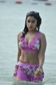 Payal Ghosh Hot Bikini Stills