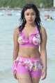 Payal Ghosh Hot Bikini Stills