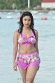 Payal Ghosh Hot Bikini Stills