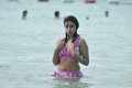 Payal Ghosh Hot Bikini Stills