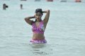 Payal Ghosh Hot Bikini Stills