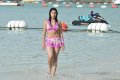 Payal Ghosh Hot Bikini Stills