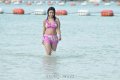 Payal Ghosh Hot Bikini Stills