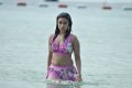 Payal Ghosh Hot Bikini Stills