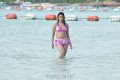 Payal Ghosh Hot Bikini Stills