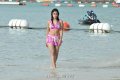 Payal Ghosh Hot Bikini Stills