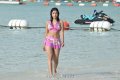 Payal Ghosh Hot Bikini Stills