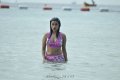 Payal Ghosh Hot Bikini Stills