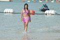 Payal Ghosh Hot Bikini Stills