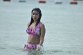 Payal Ghosh Hot Bikini Stills