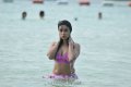 Payal Ghosh Hot Bikini Stills