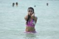 Payal Ghosh Hot Bikini Stills