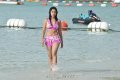 Payal Ghosh Hot Bikini Stills