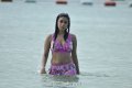 Payal Ghosh Hot Bikini Stills