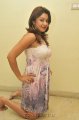 Payal Ghosh Hot Photo Shoot Pics
