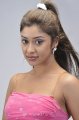Payal Ghosh Hot Photo Shoot Pics