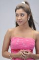 Payal Ghosh Hot Photo Shoot Pics