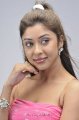 Payal Ghosh Hot Photo Shoot Pics