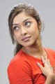 Payal Ghosh Hot Photo Shoot Pics