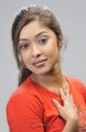 Payal Ghosh Hot Photo Shoot Pics