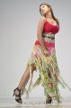 Payal Ghosh Hot Photo Shoot Pics